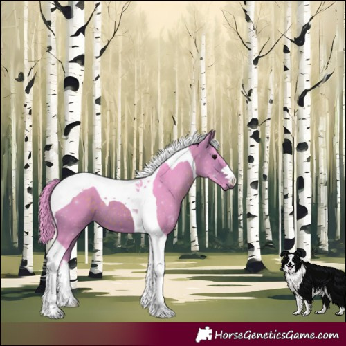 Horse Color:Watercolor Bay Tobiano