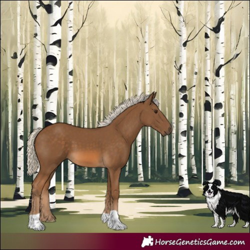 Horse Color:Chocolate Palomino 