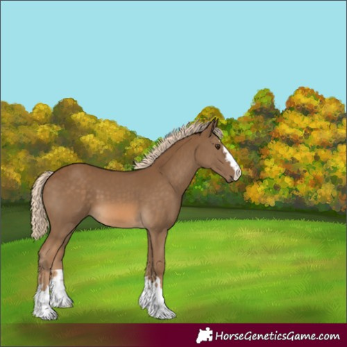 Horse Color:Chocolate Palomino