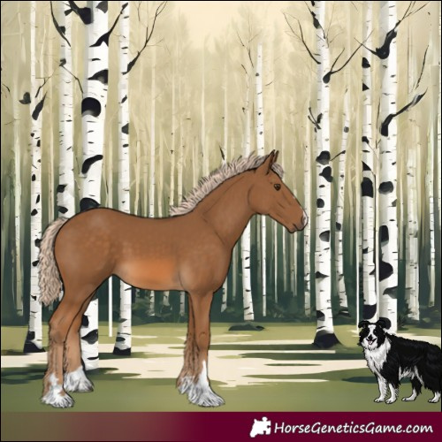 Horse Color:Chocolate Palomino