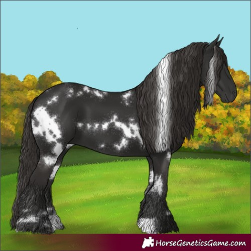 Horse Color:White Spotted Liver Chestnut 