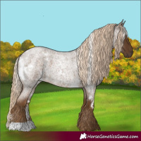 Horse Color:White Spotted Chocolate Palomino Roan 