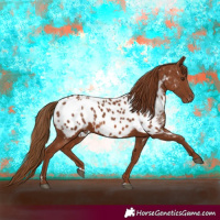 Horse Color:Chestnut Near Leopard