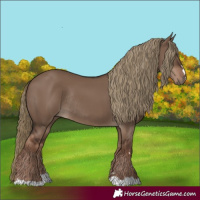 Horse Color:Liver Red Dun Rabicano