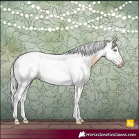 Horse Color:Silver Smoky Creme Sabino Tobiano Frame Rabicano 