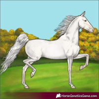 Horse Color:Silver Sable Cream Champagne Roan Pearl Dun 