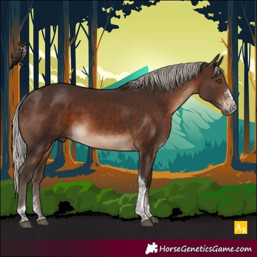 Horse Color:Silver Brown Sabino Tobiano Rabicano 