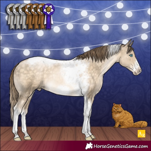 Horse Color:Buckskin Pearl Tobiano Frame Rabicano 