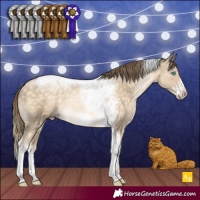 Horse Color:Buckskin Pearl Tobiano Frame Rabicano 