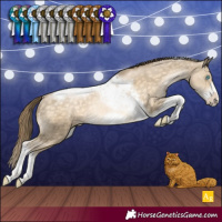 Horse Color:Buckskin Pearl Tobiano Frame Rabicano