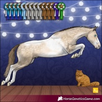 Horse Color:Buckskin Pearl Tobiano Frame Rabicano