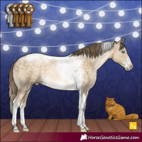 Horse Color:Buckskin Pearl Tobiano Frame Rabicano 