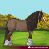 Horse Color:Liver Red Dun Rabicano 