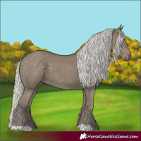 Horse Color:Silver Smoky Black 