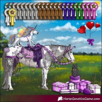 Horse Color:Black Sabino Tobiano Appaloosa Rabicano 