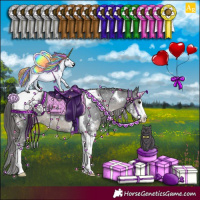 Horse Color:Black Sabino Tobiano Appaloosa Rabicano