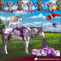 Horse Color:Black Sabino Tobiano Appaloosa Rabicano 