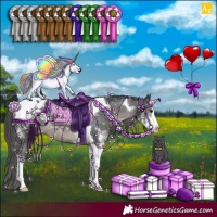 Horse Color:Black Sabino Tobiano Appaloosa Rabicano 