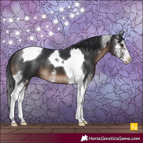 Horse Color:Brown Sabino Tobiano