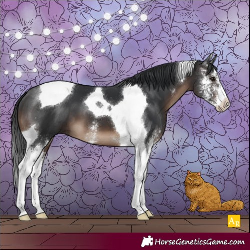 Horse Color:Brown Sabino Tobiano