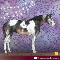 Horse Color:Brown Sabino Tobiano