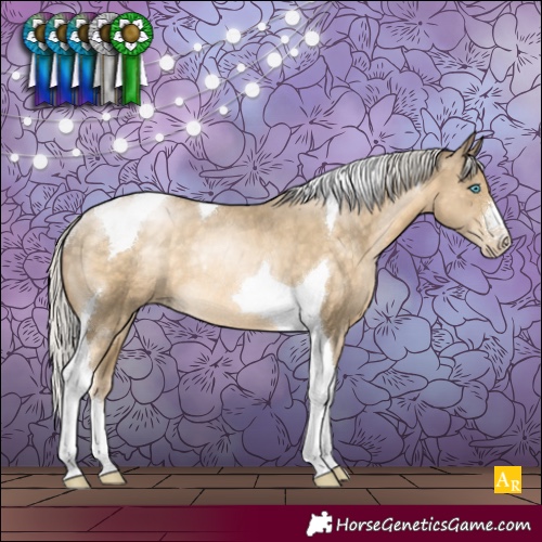 Horse Color:Silver Buckskin Pearl Sabino Tobiano Rabicano 
