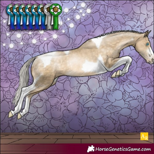 Horse Color:Silver Buckskin Pearl Sabino Tobiano Rabicano 