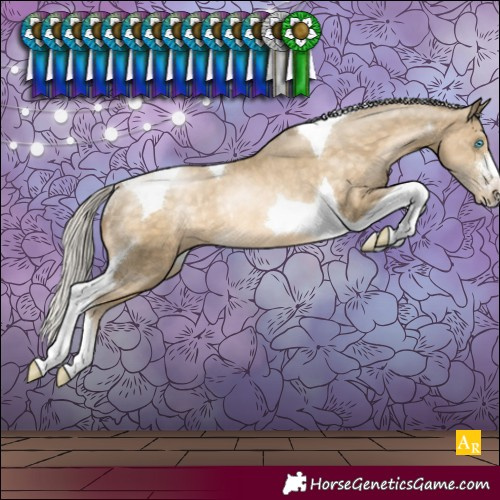 Horse Color:Silver Buckskin Pearl Sabino Tobiano Rabicano 