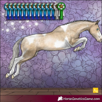 Horse Color:Silver Buckskin Pearl Sabino Tobiano Rabicano 