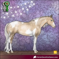 Horse Color:Silver Buckskin Pearl Sabino Tobiano Rabicano 