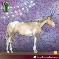 Horse Color:Silver Buckskin Pearl Sabino Tobiano Rabicano