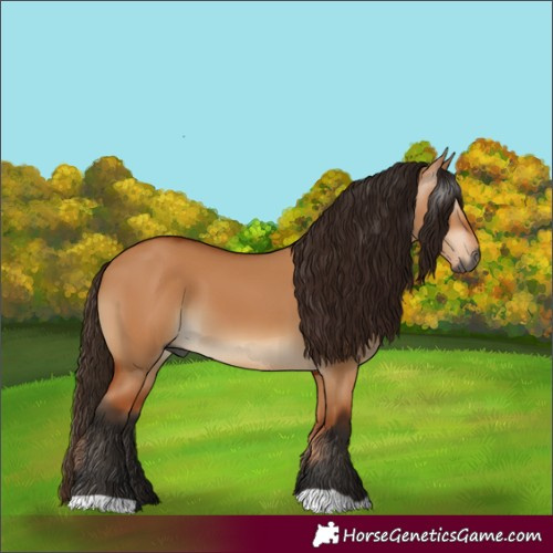 Horse Color:Gray Bay Dun 