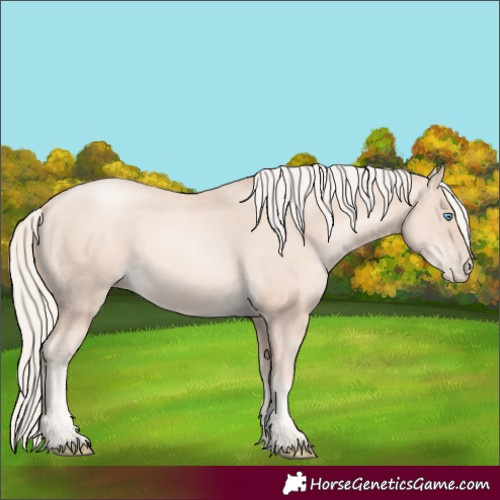 Horse Color:Gold Cream Champagne Pearl
