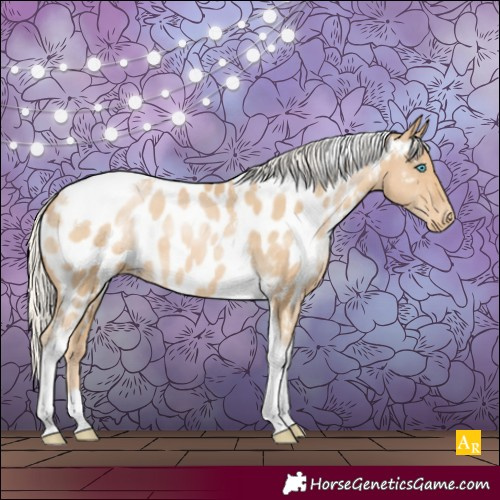 Horse Color:Silver Smoky Black Pearl Tobiano Appaloosa