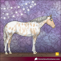 Horse Color:Silver Smoky Black Pearl Tobiano Appaloosa