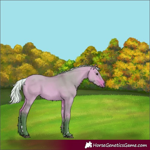 Horse Color:Watercolor Silver Bay Dun 