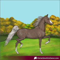 Horse Color:Silver Black 