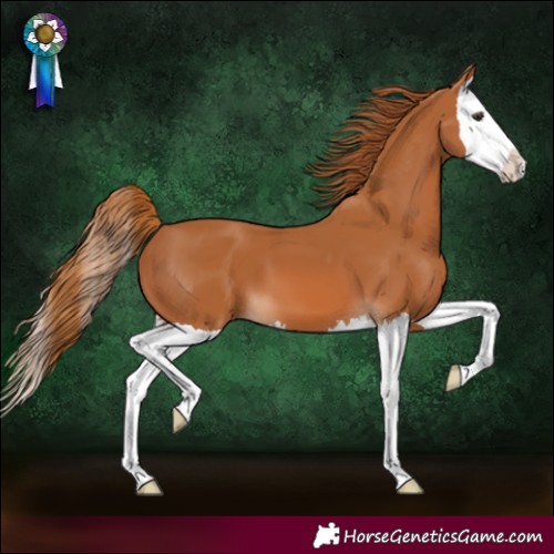 Horse Color:Chestnut Splash 