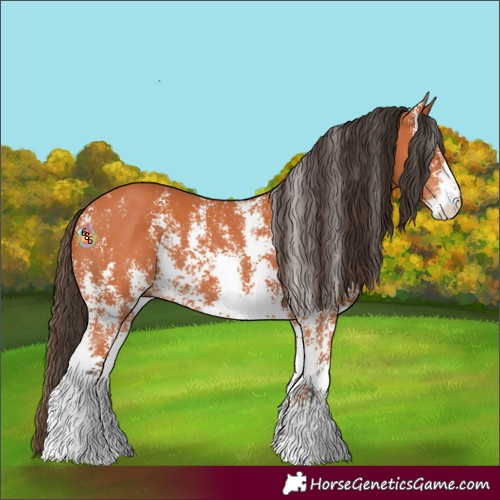 Horse Color:Bay Sabino 