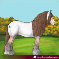 Horse Color:Amber Champagne Near Fewspot
