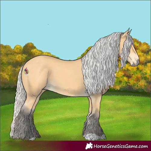 Horse Color:Silver Buckskin 