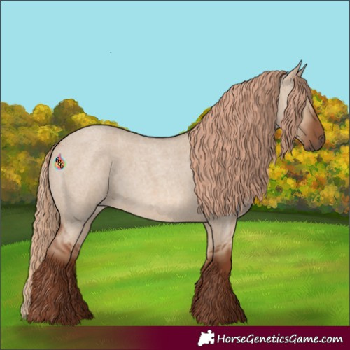 Horse Color:Red Dun Roan Rabicano
