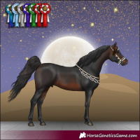 Horse Color:Brown 