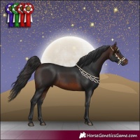 Horse Color:Brown 