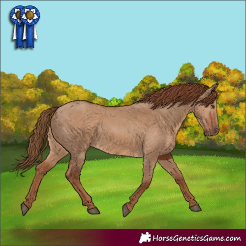 Horse Color:Red Dun 