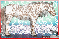 Horse Color:Red Roan Near Leopard 