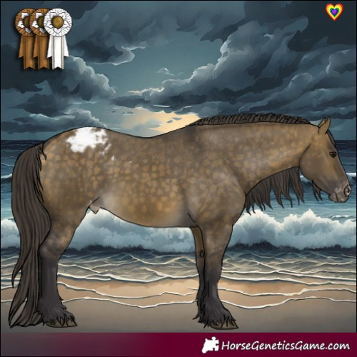Horse Color:Buckskin Dun Varnish 