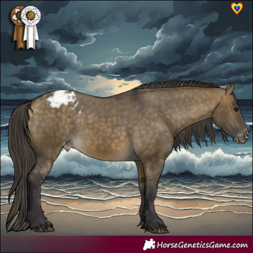Horse Color:Buckskin Dun Appaloosa 