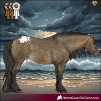 Horse Color:Buckskin Dun Varnish