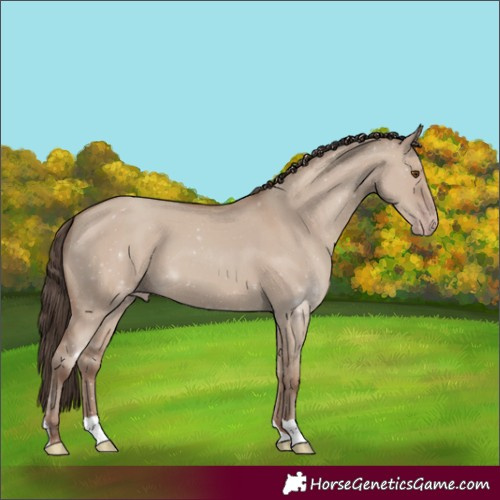 Horse Color:Classic Champagne Dun 